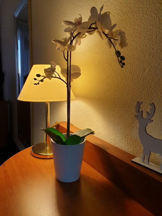 Apartment Am Kranichsee Vier Jahreszeiten جوسلار المظهر الخارجي الصورة